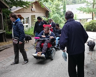 Gruppe von Menschen, darunter ein Junge im Rollstuhl, im Tierpark.