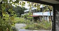 Blick auf einen Garten mit einem modernen Gebäude im Hintergrund.