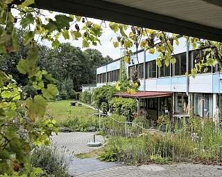 Blick auf einen Garten mit einem modernen Gebäude im Hintergrund.